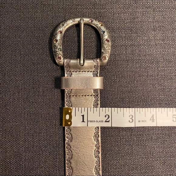 Fossil Belt - Picture 7 of 8